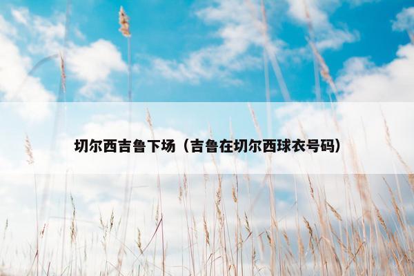 切尔西吉鲁下场（吉鲁在切尔西球衣号码）