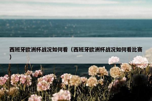 西班牙欧洲杯战况如何看（西班牙欧洲杯战况如何看比赛）