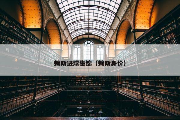 赖斯进球集锦（赖斯身价）