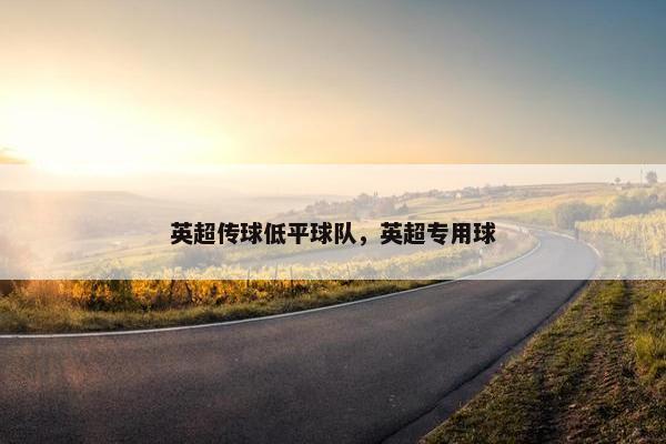 英超传球低平球队，英超专用球