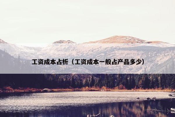工资成本占析（工资成本一般占产品多少）