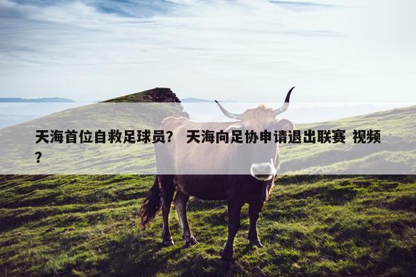 天海首位自救足球员？ 天海向足协申请退出联赛 视频？