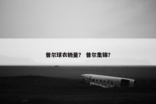 普尔球衣销量？ 普尔集锦？