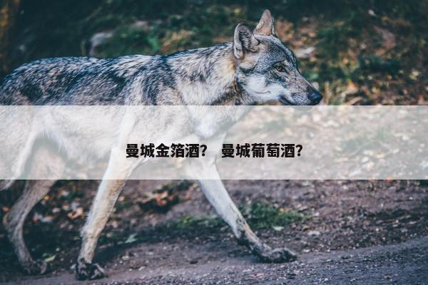 曼城金箔酒? 曼城葡萄酒? 曼城金箔酒? 曼城葡萄酒?