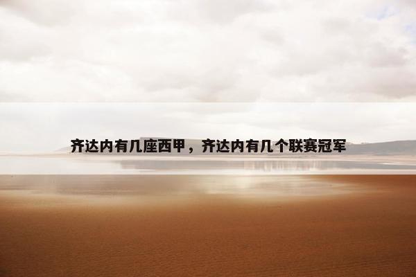 齐达内有几座西甲，齐达内有几个联赛冠军