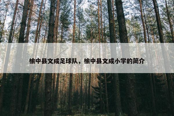 榆中县文成足球队，榆中县文成小学的简介