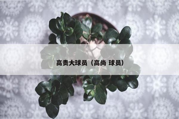 高贵大球员(高尚 球员) 高贵大球员(高尚 球员)