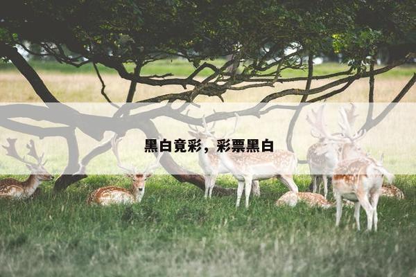 黑白竟彩，彩票黑白