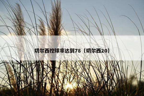 切尔西控球率达到78（切尔西20）
