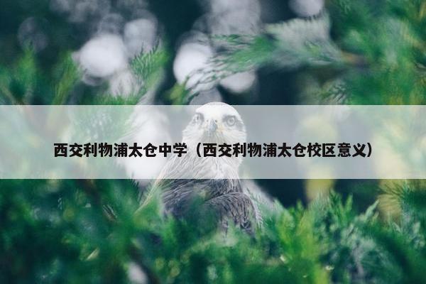 西交利物浦太仓中学（西交利物浦太仓校区意义）