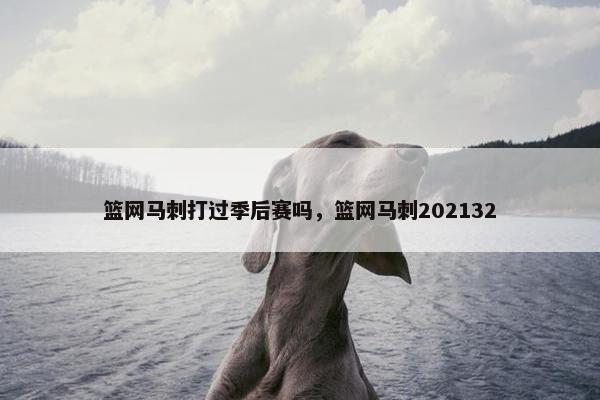 篮网马刺打过季后赛吗，篮网马刺202132