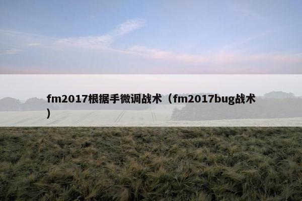 fm2017根据手微调战术（fm2017bug战术）