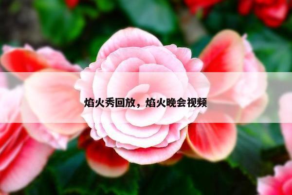 焰火秀回放，焰火晚会视频