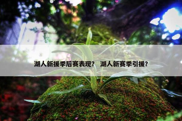 湖人新援季后赛表现？ 湖人新赛季引援？