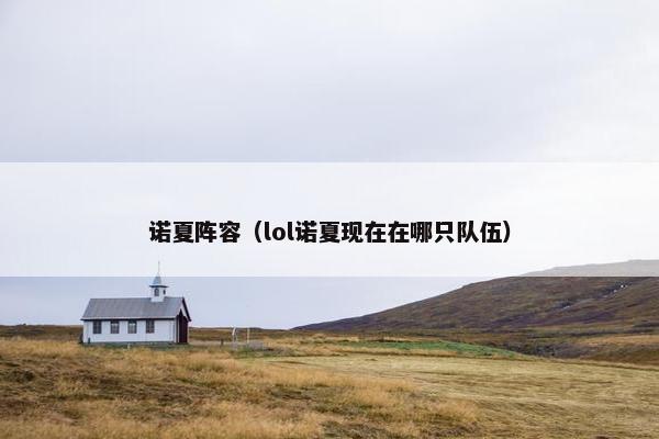 诺夏阵容（lol诺夏现在在哪只队伍）