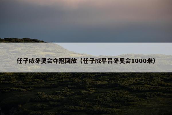 任子威冬奥会夺冠回放（任子威平昌冬奥会1000米）