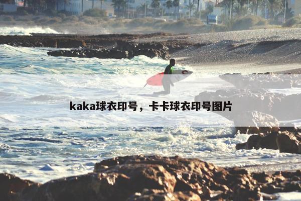kaka球衣印号，卡卡球衣印号图片