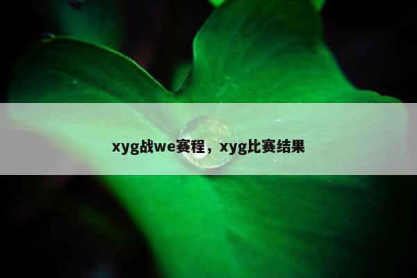 xyg战we赛程，xyg比赛结果
