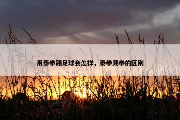 用泰拳踢足球会怎样，泰拳踢拳的区别