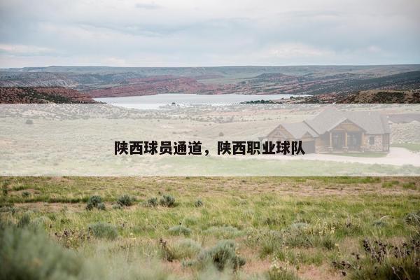 陕西球员通道，陕西职业球队
