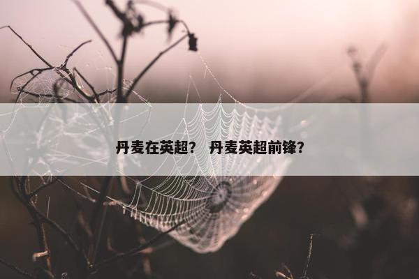 丹麦在英超？ 丹麦英超前锋？