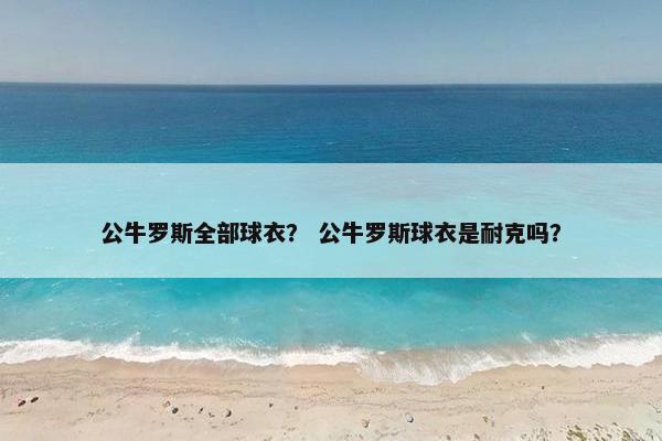 公牛罗斯全部球衣？ 公牛罗斯球衣是耐克吗？