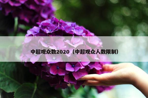 中超观众数2020（中超观众人数限制）