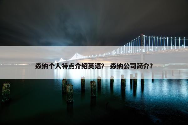 森纳个人特点介绍英语？ 森纳公司简介？