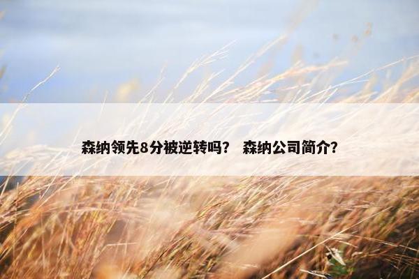 森纳领先8分被逆转吗？ 森纳公司简介？