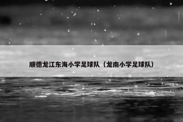 顺德龙江东海小学足球队(龙南小学足球队) 顺德龙江东海小学足球队(龙南小学足球队)