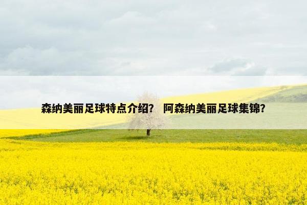 森纳美丽足球特点介绍？ 阿森纳美丽足球集锦？