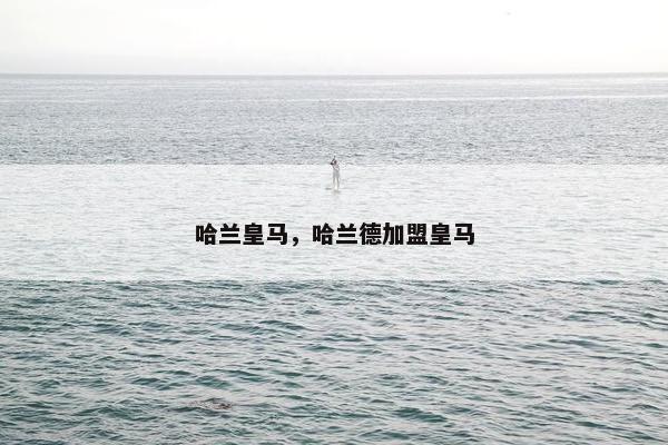 哈兰皇马，哈兰德加盟皇马