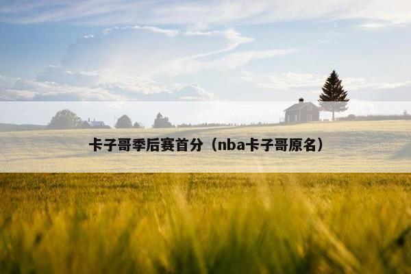 卡子哥季后赛首分（nba卡子哥原名）