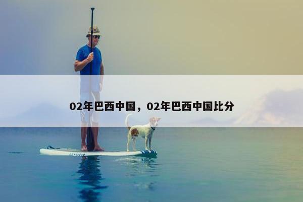 02年巴西中国，02年巴西中国比分