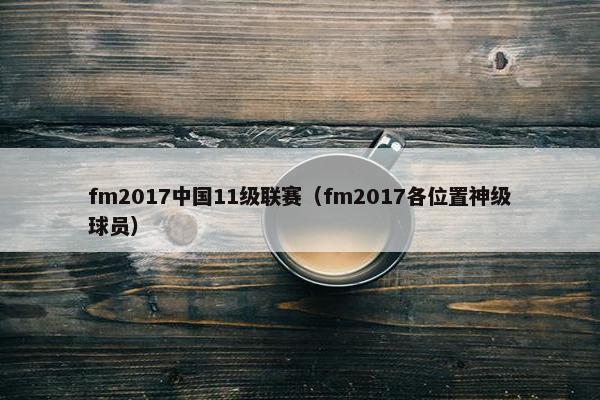 fm2017中国11级联赛（fm2017各位置神级球员）