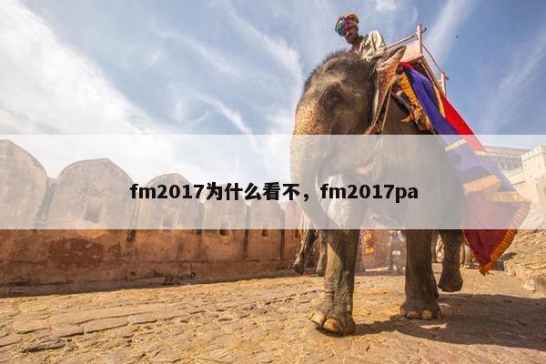 fm2017为什么看不，fm2017pa