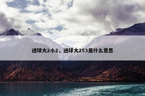 进球大2小2，进球大253是什么意思