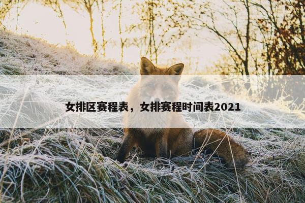 女排区赛程表，女排赛程时间表2021