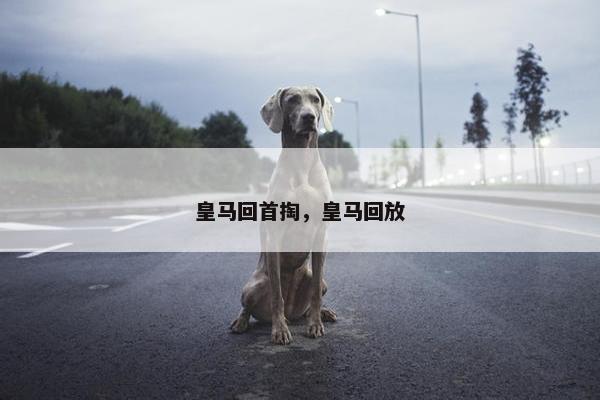 皇马回首掏,皇马回放 皇马回首掏,皇马回放