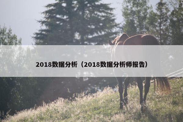 2018数据分析（2018数据分析师报告）
