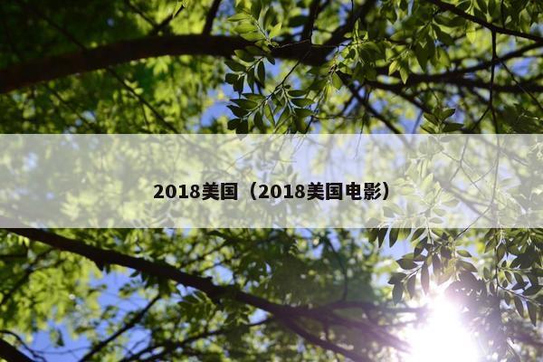 2018美国（2018美国电影）