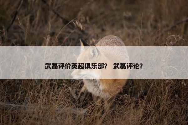 武磊评价英超俱乐部？ 武磊评论？