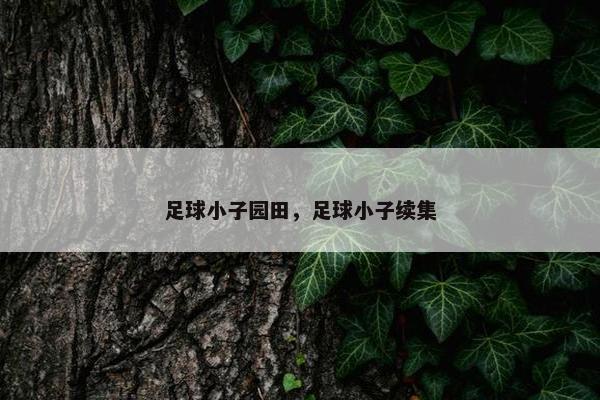 足球小子园田，足球小子续集