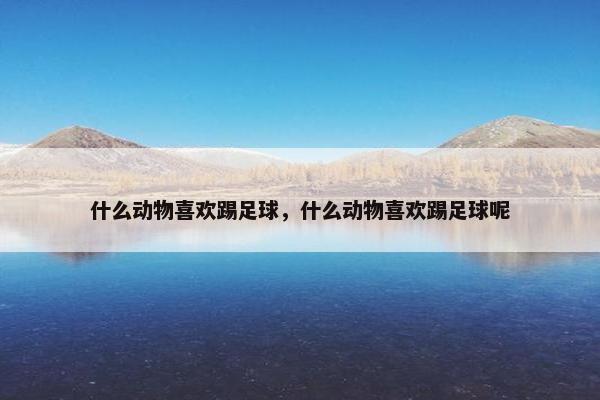 什么动物喜欢踢足球，什么动物喜欢踢足球呢