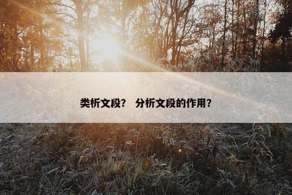 类析文段？ 分析文段的作用？