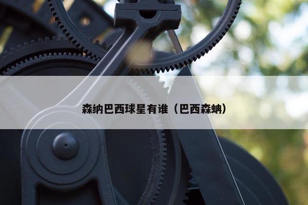 森纳巴西球星有谁(巴西森蚺) 森纳巴西球星有谁(巴西森蚺)