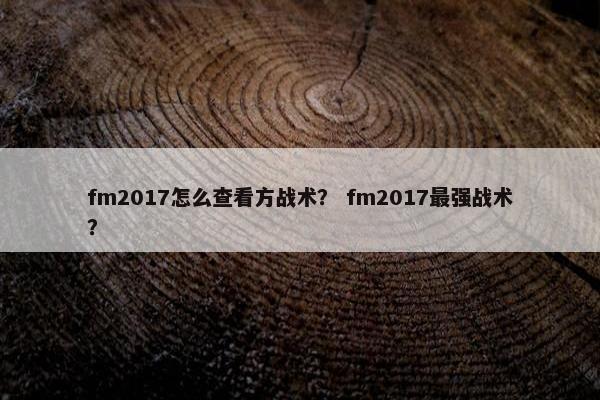 fm2017怎么查看方战术？ fm2017最强战术？