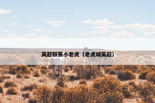 英超联赛小老虎（老虎城英超）