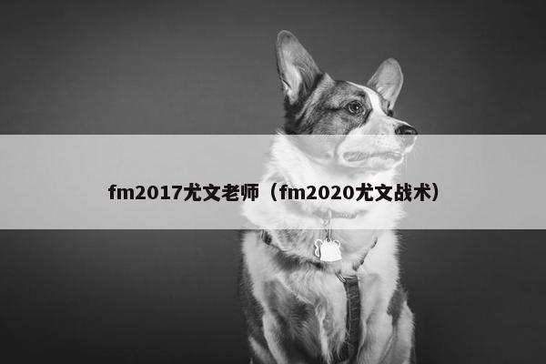 fm2017尤文老师（fm2020尤文战术）