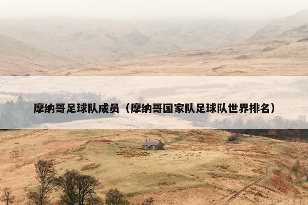 摩纳哥足球队成员（摩纳哥国家队足球队世界排名）